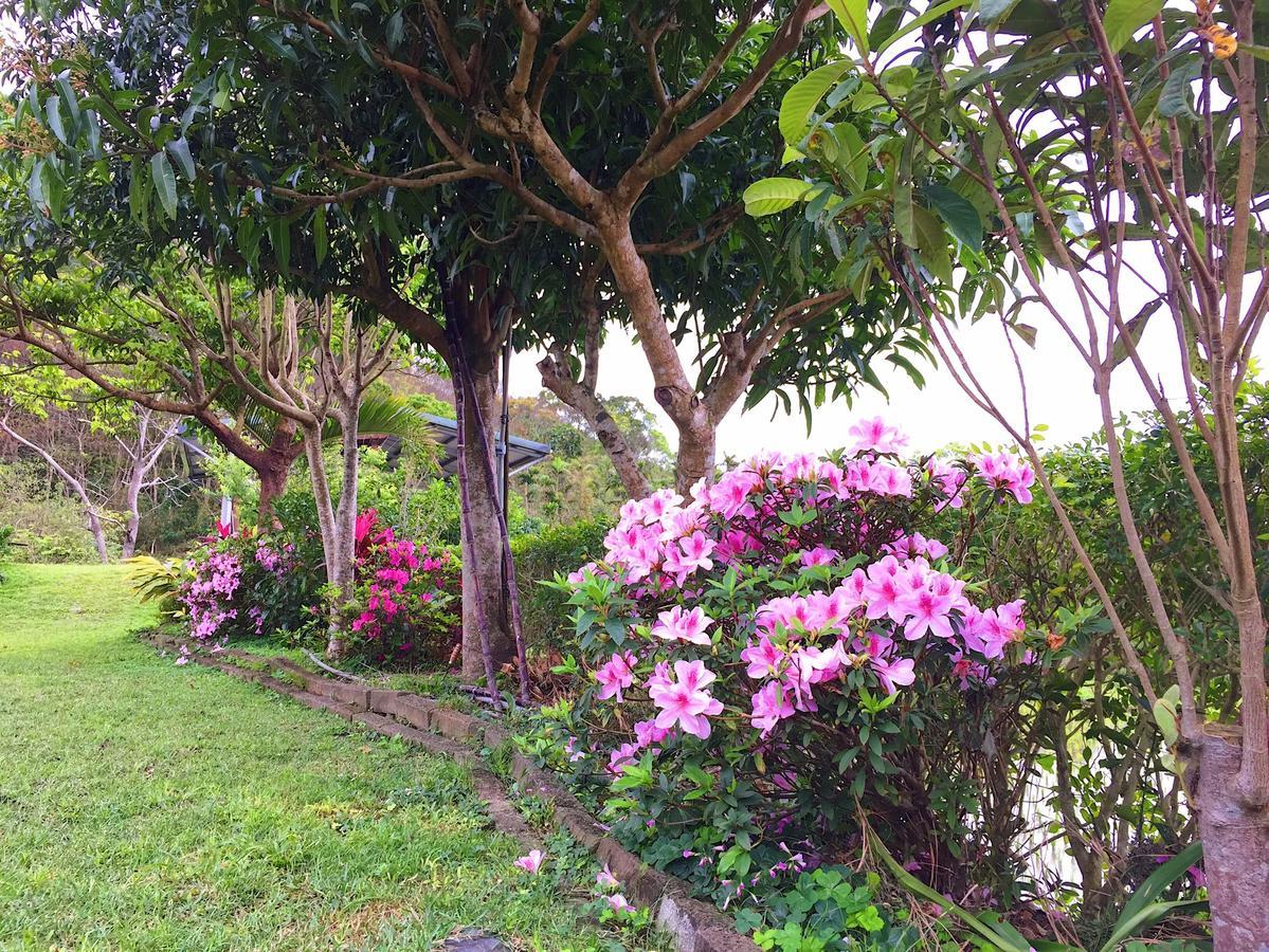 Jiu An Qing Jing Homestay Fuli Bagian luar foto